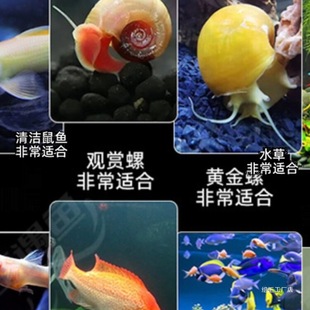 �^�p�r�����r��ˮ�r��ښ��r�坍�~�ͻ���B�Ꭷ�^�p�~����ˮ���r