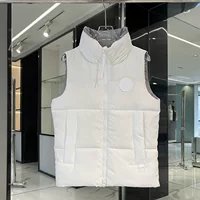Жилет Big Goose с белой этикеткой, капсульная серия, пуховик Big Goose, жилет с белой этикеткой, повседневный свободный жилет-пуховик, куртка
