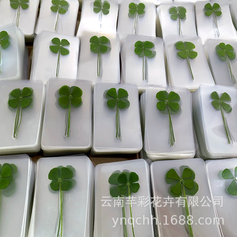 Четырехлистная клеверная закладка из сушеных цветов с тиснением «сделай сам», четырехлистная клеверная закладка, пластиковая прозрачная пластиковая закладка из настоящих растительных сушеных цветов