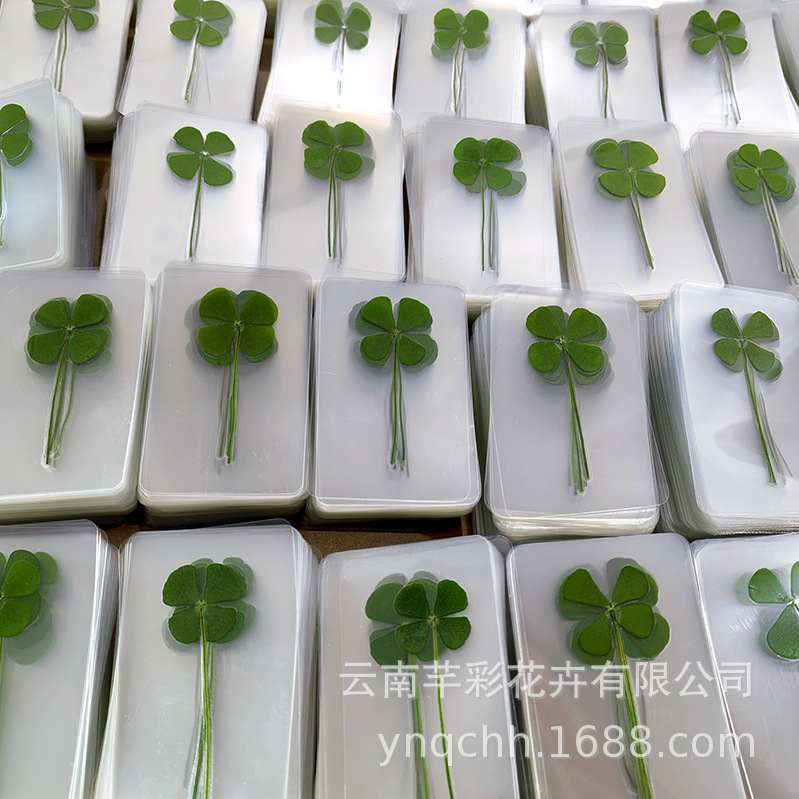 Four-Leaf Clover Dried Flower Embossed DIY Clover Four-Leaf Clover Bookmark Plastic Transparent Real Plant Dried Flower Plastic Bookmark