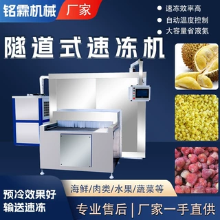 不锈钢冷冻鲜果速冻流水线 移动式速冻机 果蔬速冻加工设备大型