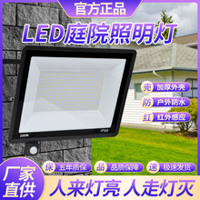 ledwБͶͥԺ܇50WO_t⾀