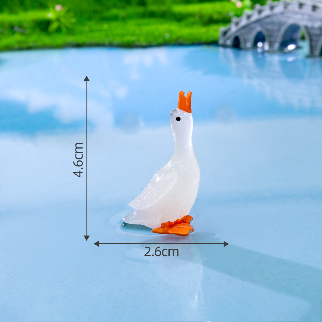 White swan, 1 size