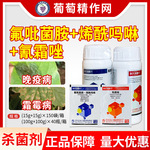 真格  放大镜喜力氟吡菌胺烯酰吗啉节瓜霜霉病晚疫病农药杀菌剂