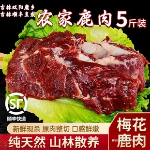 ���ږ|������¹�l�خa���r�F��¹���r��ɢ�B�Բ���¹����¹�����r