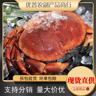 ���з���ĸз�����з�r�����з����з��з�S��з�䌚з����