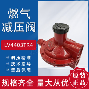 Rego����Һ����߾��Ȝp���yLV4403TR4ȼ��LPG�{����DN15