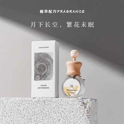 Lasting Fragrance Car Deodorant | Car Perfume Aromatherapy