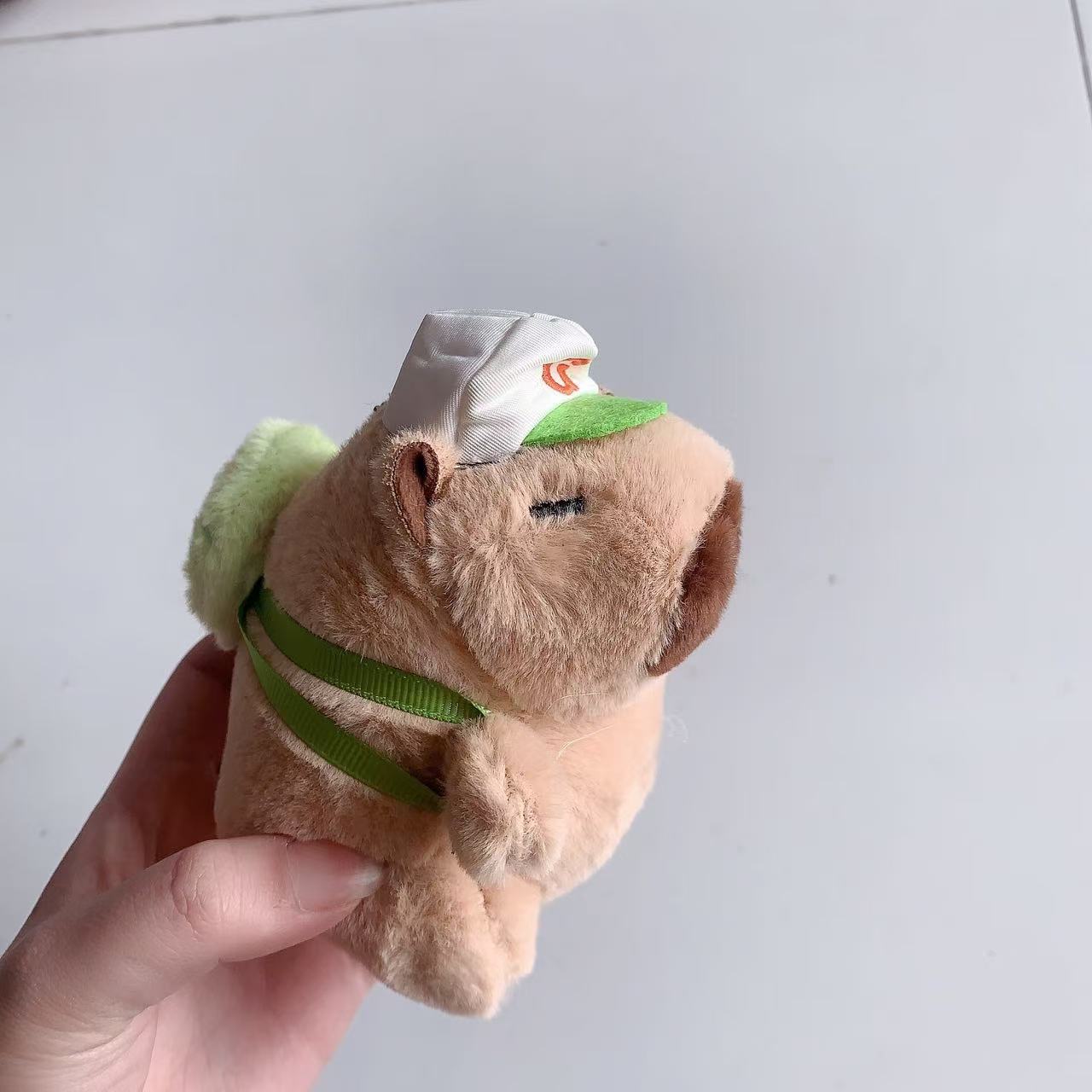 仏陀系の萌えはかわいいカピバラの君をかわいがります。