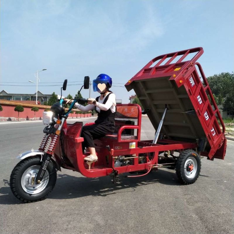 Las motocicletas de tres ruedas se pueden utilizar en la licencia, ciclomotor Zongshen Longxin, camión volquete pequeño, vehículo eléctrico de imitación de carga