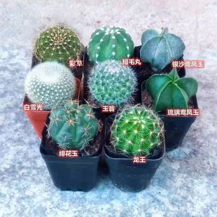 ���_������������M���ͺ����b�����k�������B�������ȫ