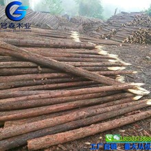 國產松木樁工程打樁木 河道園林圍欄杉木樁 定制長短原木木樁