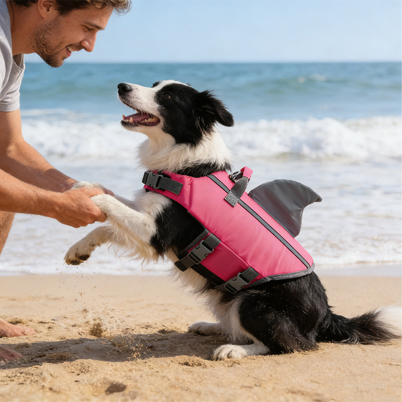 Shark Fin Dog Swimsuit
