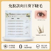 6 rows of glue-free brown sunflower lower lashes