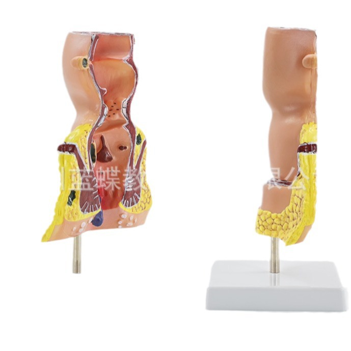 רҵ�ع�ֱ������ģ�� ����ֱ������ģ�� ��¥̽�� �̴�ģ�� ����