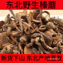 东北野生榛蘑干货小鸡炖蘑菇批发长白山土特产真蘑无根净重新货