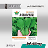 Small packaging chicken hair seeds Shanghai small rapeseed seed green vegetables fast raw small cabbage seeds crispy and tender four seasons potted plants