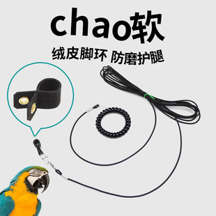 �B���W�^�p����w�K�˸���f������������������B�����_�qƤ�_��