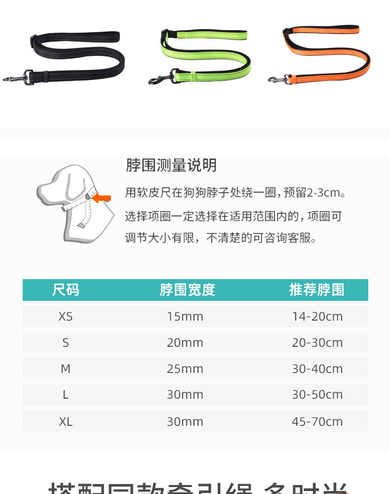 狗绳_09.jpg