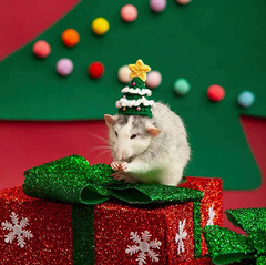 手作りのクリスマスのペットの帽子の装飾品の帽子のミニパーティーのペットの帽子の動物の帽子の手のフックの毛