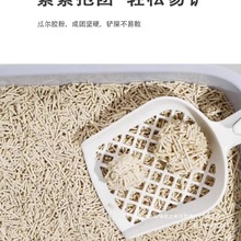 ؈ɰ����10�����o�m�҃Ȏ����Y�F���40�ɛ_���l؈����]��Ʒ