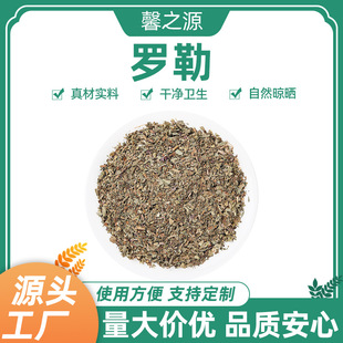 �_���~���{��������{ζ����ţ���������ͺ決�؂��{ζ���_���~��