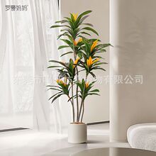 ����Gֲ��ֲ���҃��b�������Դ��ͷ����Gֲ�͏d�ٻ����滨�[�O