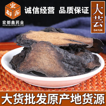 批发新疆 肉苁蓉 大货肉苁蓉 锁阳泡酒料肉苁蓉量大从优