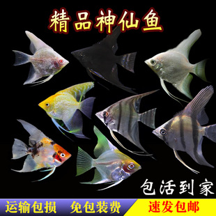 �~�߲���ʹ�~�������~��Ꭷ�^�p�~��؈�ʯ�ڰ׻��w�������