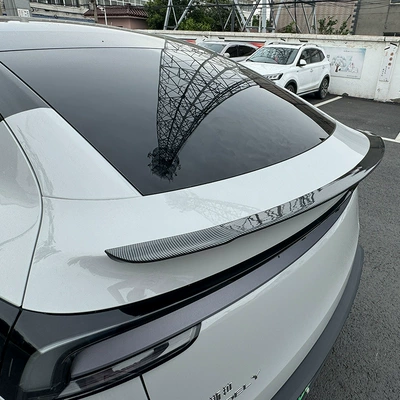 Original P-Version Modified Pro — Fixed wind wing