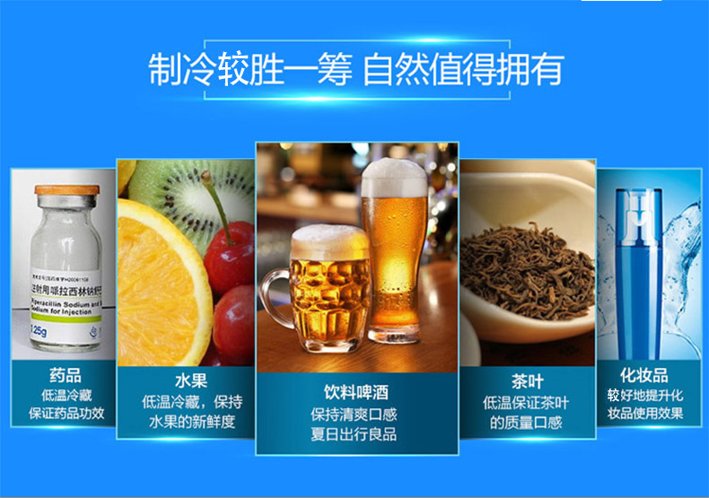 4L 12v Car Refrigerator Mini Cold and Warm Mini Refrigerator Dormitory 4L Car Home Dual-Use Small Dormitory Home Refrigerator