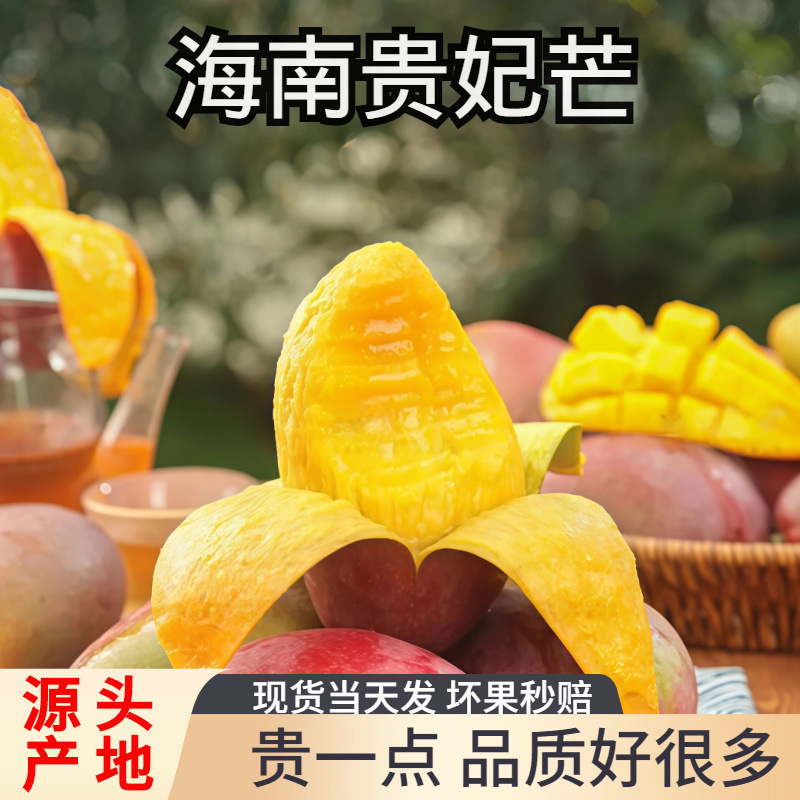Rainbow Guifei Mango 5kg Fresh Mango Fruit Seasonal Tree-Ripe Red Golden Dragon Sweetheart Mango Large Fruit Whole Box Rainbow Guifei Mango 5kg Fresh Mango Fruit Seasonal Tree-Ripe Red Golden Dragon Sweetheart Mango Large Fruit Whole Box
