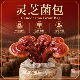 灵芝;其他干货;枸杞及其制品