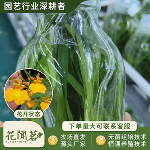 �л������m 0807 ��̫�ƿ��M�����״���҃������Ի�������r��