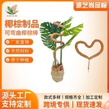 定制可弯曲椰棕棒绿箩攀藤杆龟背竹支撑杆变形爬藤花架棕榈柱椰丝