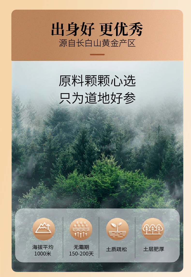 Changbai Mountain White Ginseng Slices Sun-Dried Full-Age Old Ginseng 125g Bottle quality and texture