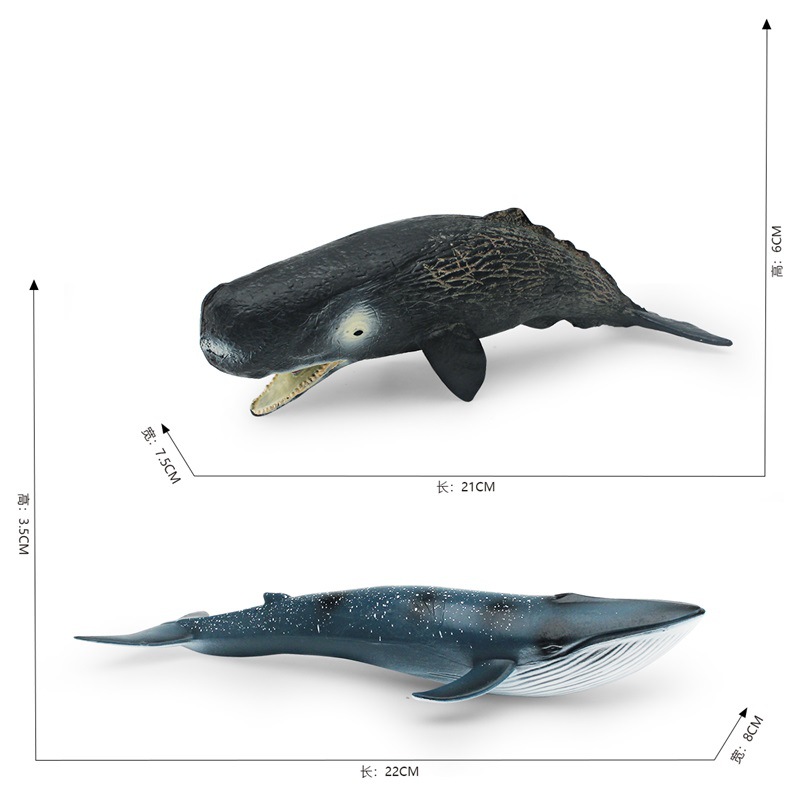Simulación transfronteriza animal marino modelo de ballena Cognición de los niños criatura submarina cachalote Ballena Azul adornos estáticos