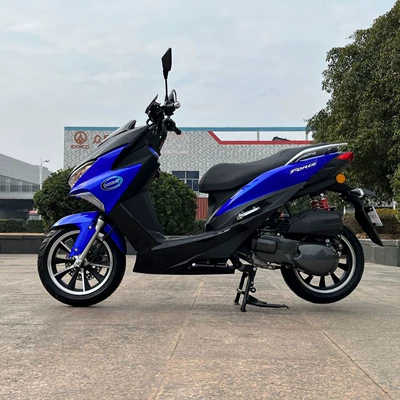 Motosikletlər Lion Roar 2024 Assisted