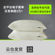 2025�¿�ȫ������ԭ��������z�ߏ��o�i���^�H�w͸��Ƶꌣ��