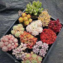 ����ֲ����׮�ײʹ�ź���������������������ڻ�����װ