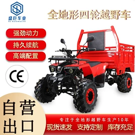 沙滩车;其他轮胎
