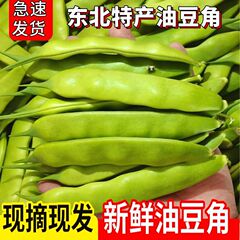 東北産の旬の新鮮な9月の緑豆、油豆、摘みたての豆を鍋に煮て食べます。