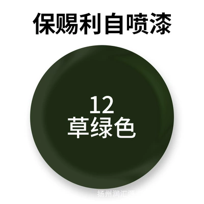 Avtomobil boyası painted furniture anti-rust paint - 12-grass-green-230g-per-bottle-spray-paint