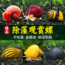 �^�p�ݳ������S���O���ڽ������R�坍�ˆγ����R����ˮ�~��ˮ΁ţ