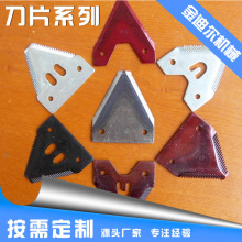 ɽ|Sa|СոCƬ厲ݙCƬոC