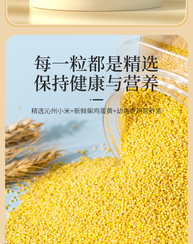 5347c799-977c-4580-89b0-2f9b8bef19e7.jpe