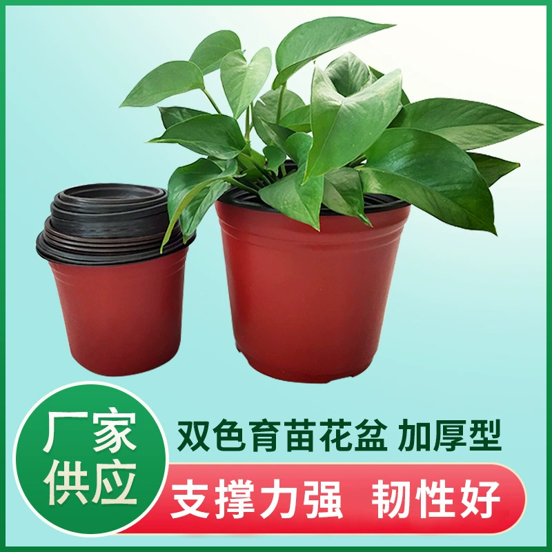 Two-color plastic simple flowerpot, increased thickness