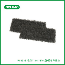 ����Bio-Rad1703933Foam Pads for MiniTrans-BlotCellתӡ�����