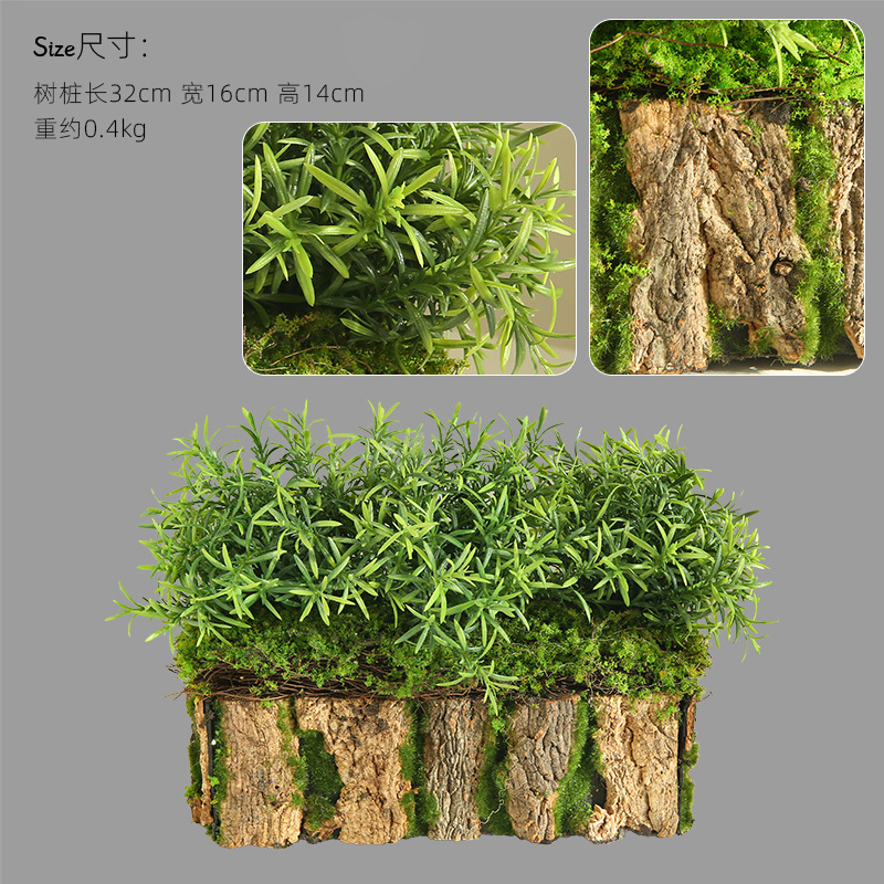 이끼껍질 화분 - 32×16×14cm 작은 아스파라거스 포함