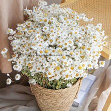 �����BС�r�ոɻ�������ʾ�С���¿͏d�b��Ĕz������Ȼ�L���滨